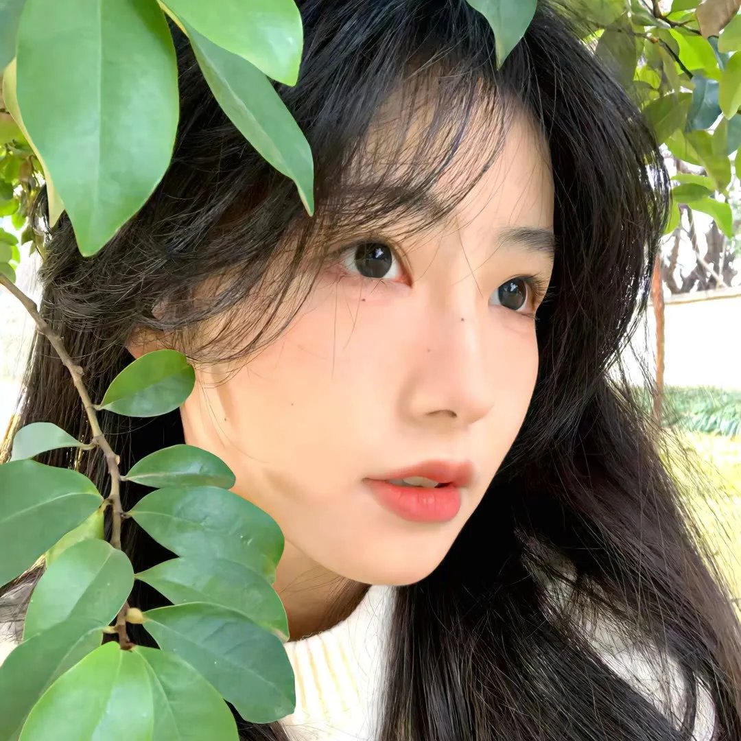 金同学的成绩单